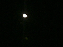 Mond1