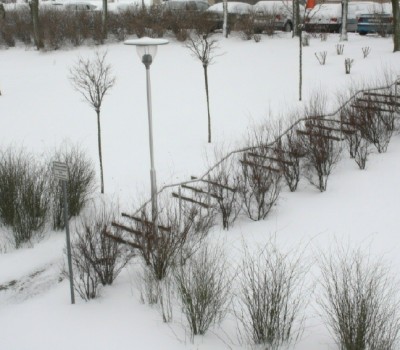Winter2010