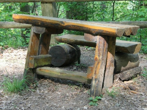 Tisch und Bank im Wald