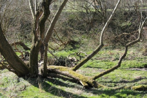 Frühling