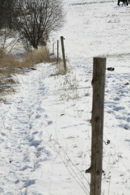 immer noch Winter