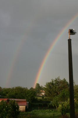 Regenbogen