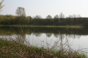 img_1712